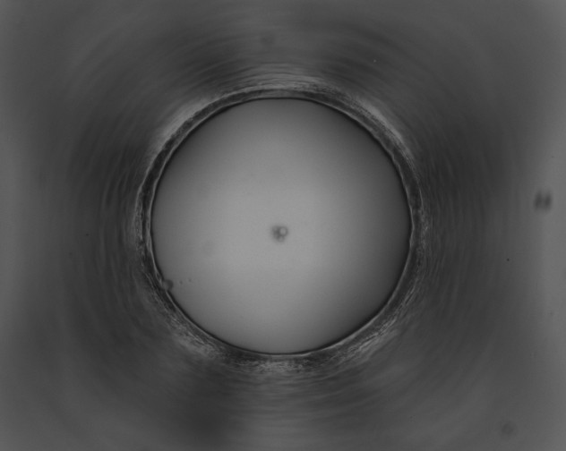 X0000091170883200708301153