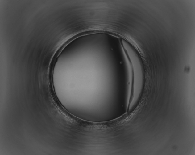 X0000091170884200708301153