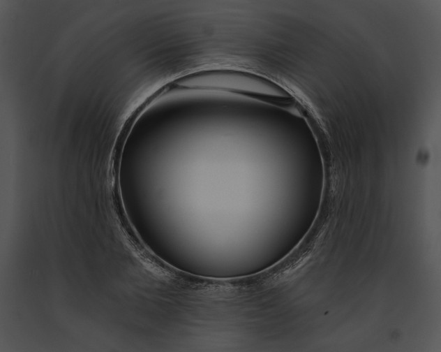 X0000091170885200708301153