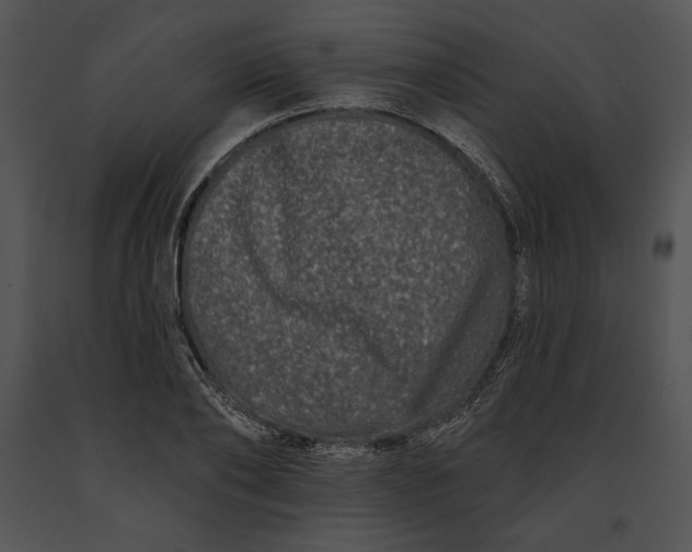 X0000091170886200708301153