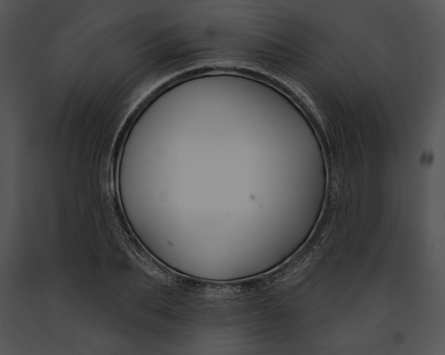 X0000091170887200708301153