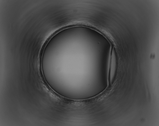 X0000091170888200708301153