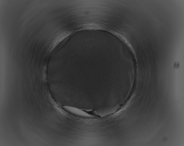 X0000091170889200708301153