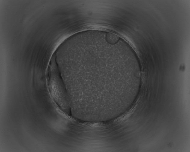 X0000091170891200708301153