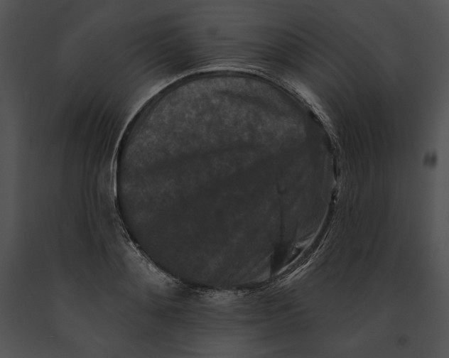 X0000091170892200708301153