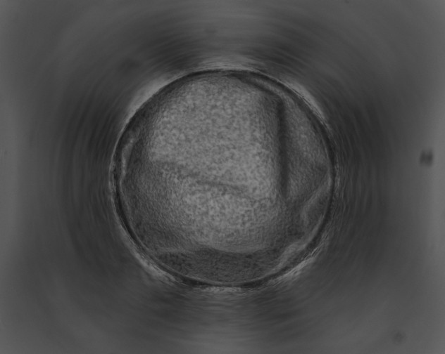 X0000091170893200708301153