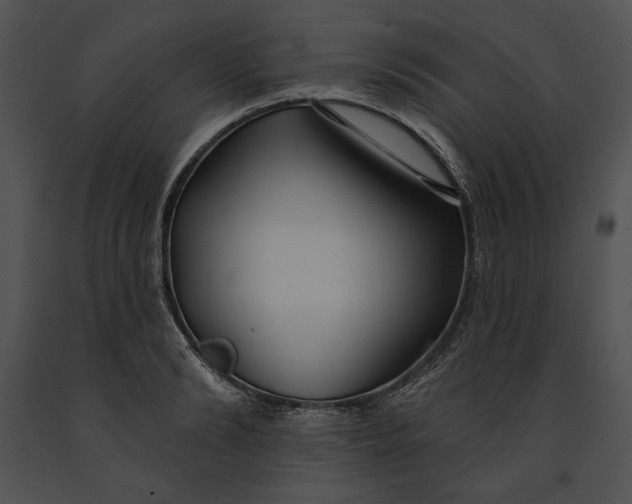 X0000091170894200708301153