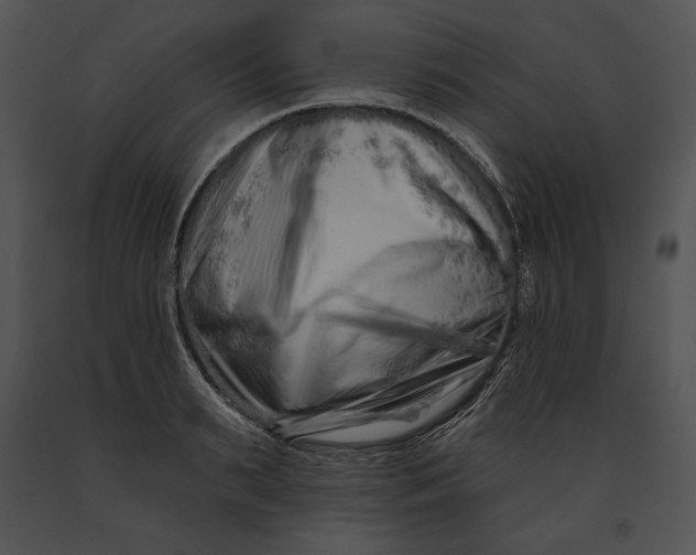 X0000091170895200708301153