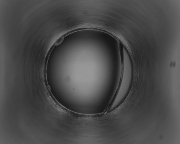 X0000091170896200708301153