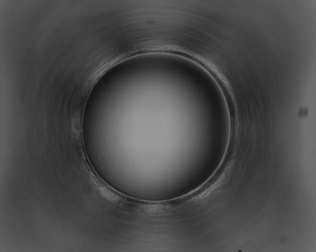 X0000091170897200708301153