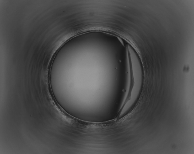 X0000091170898200708301153