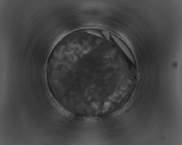 X0000091170899200708301153