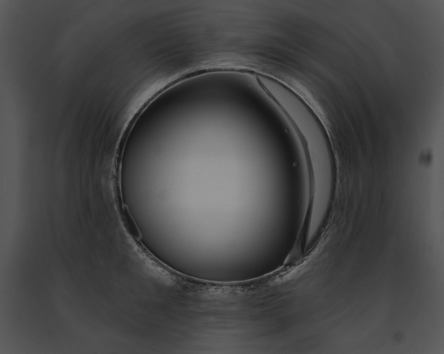 X0000091170901200708301153