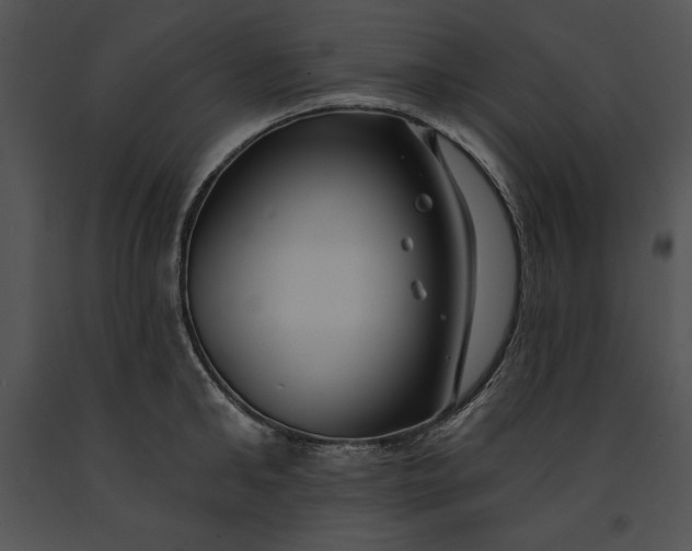 X0000091170902200708301153