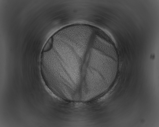 X0000091170903200708301153