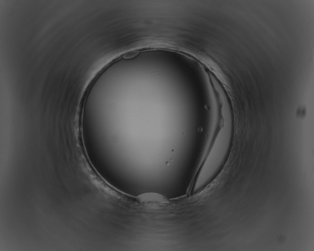 X0000091170904200708301153