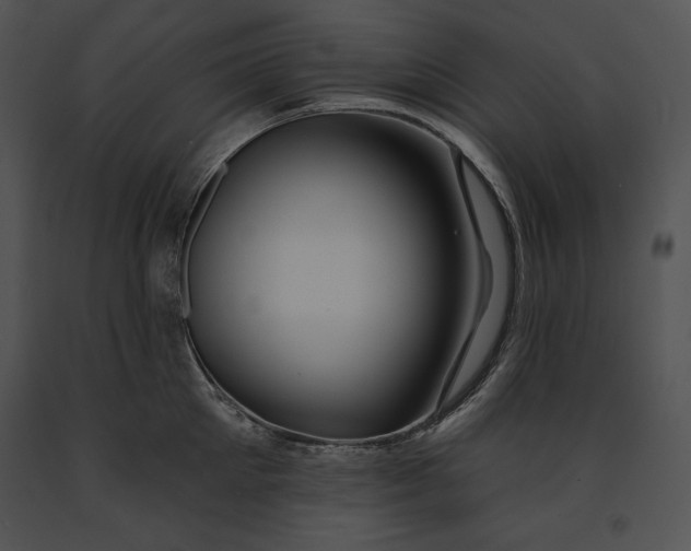 X0000091170905200708301153