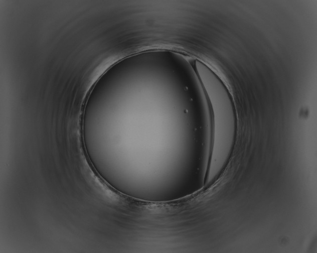 X0000091170906200708301153