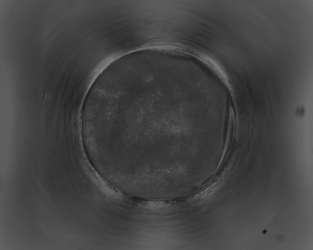 X0000091170907200708301153