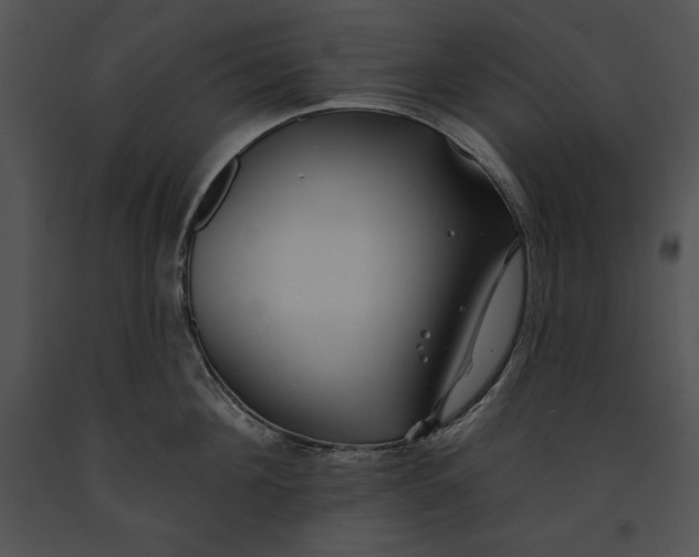 X0000091170908200708301153