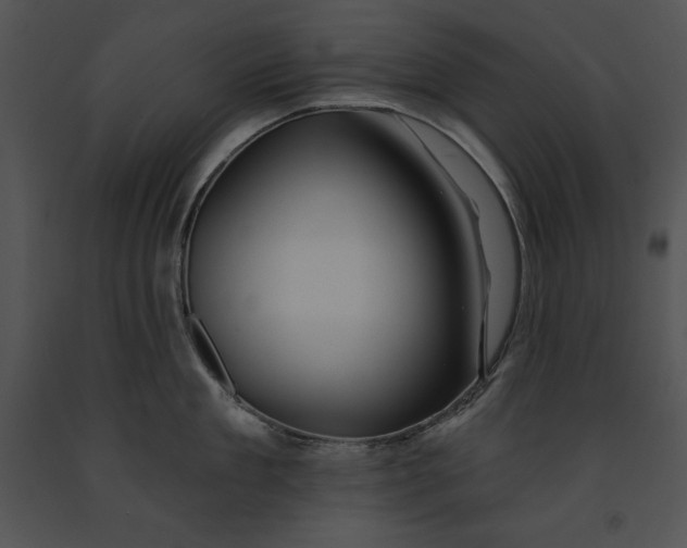 X0000091170909200708301153