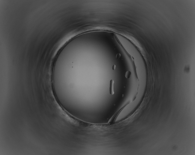 X0000091170910200708301153