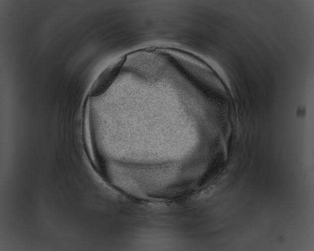 X0000091170911200708301153