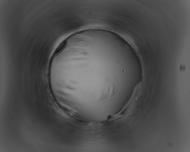 X0000091170912200708301153