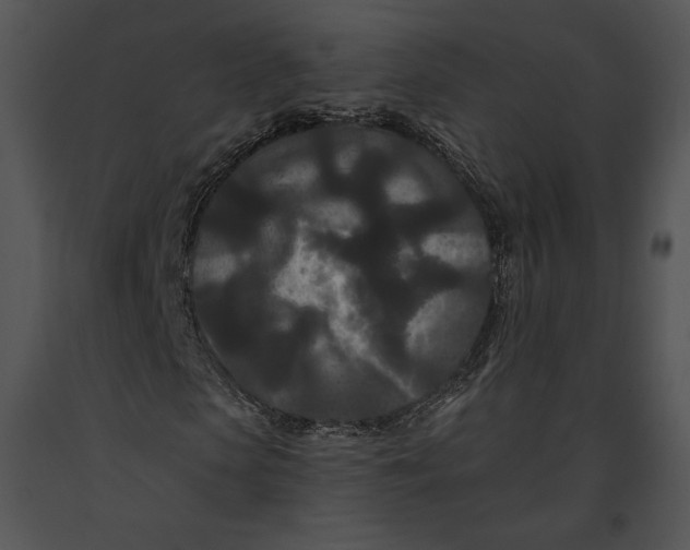 X0000091170913200708301152