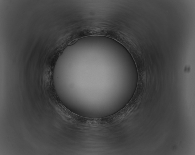 X0000091170914200708301152