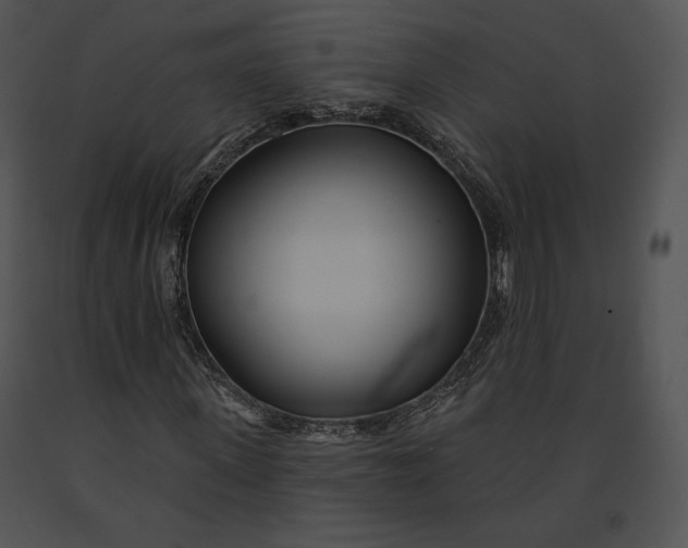 X0000091170915200708301152