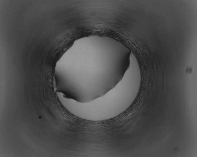 X0000091170916200708301152