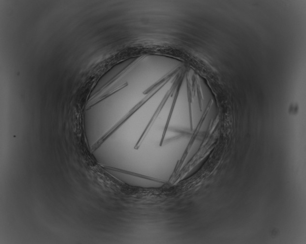 X0000091170917200708301152