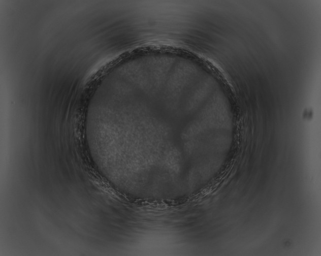 X0000091170919200708301152