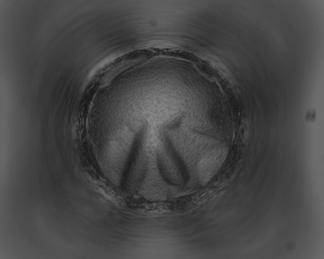 X0000091170920200708301152