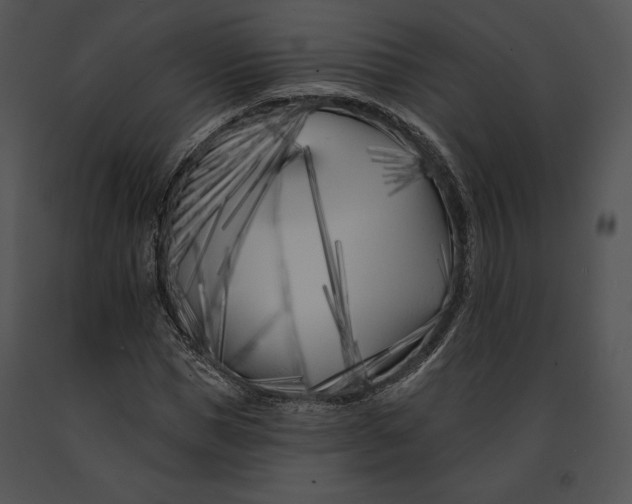 X0000091170921200708301152