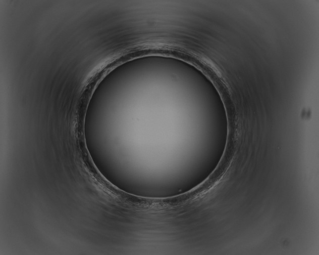 X0000091170922200708301152