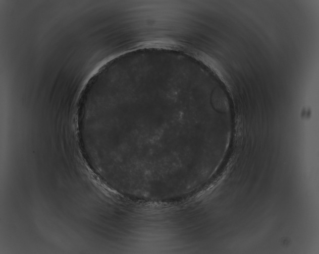 X0000091170923200708301152