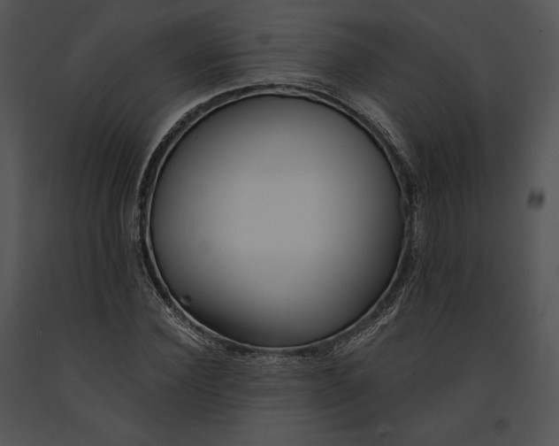 X0000091170924200708301152