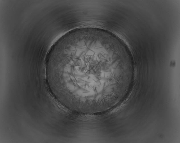 X0000091170925200708301152