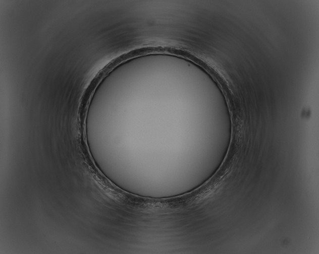 X0000091170927200708301152