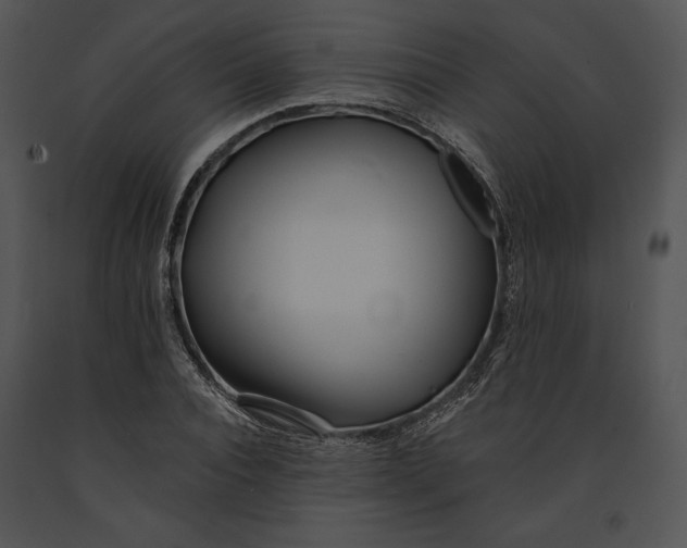 X0000091170928200708301152