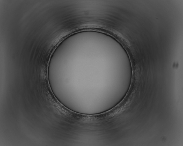 X0000091170929200708301152