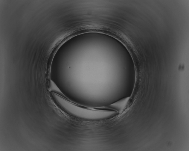 X0000091170930200708301152