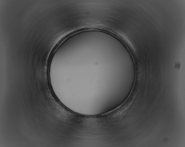 X0000091170932200708301152