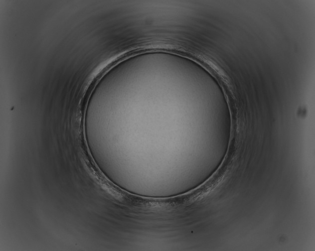 X0000091170933200708301152