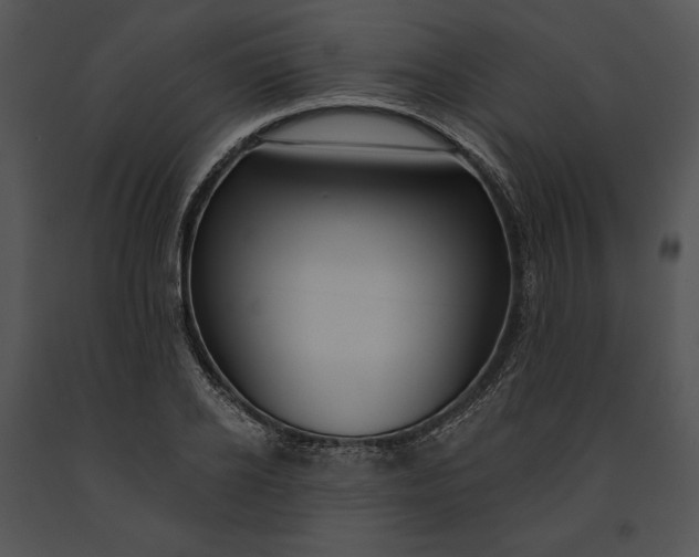 X0000091170934200708301152