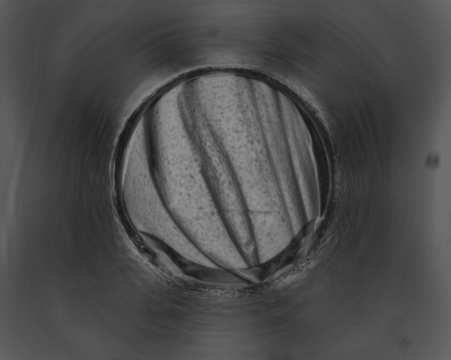 X0000091170935200708301152