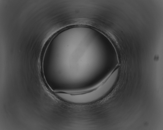 X0000091170936200708301152