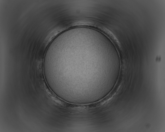 X0000091170937200708301152